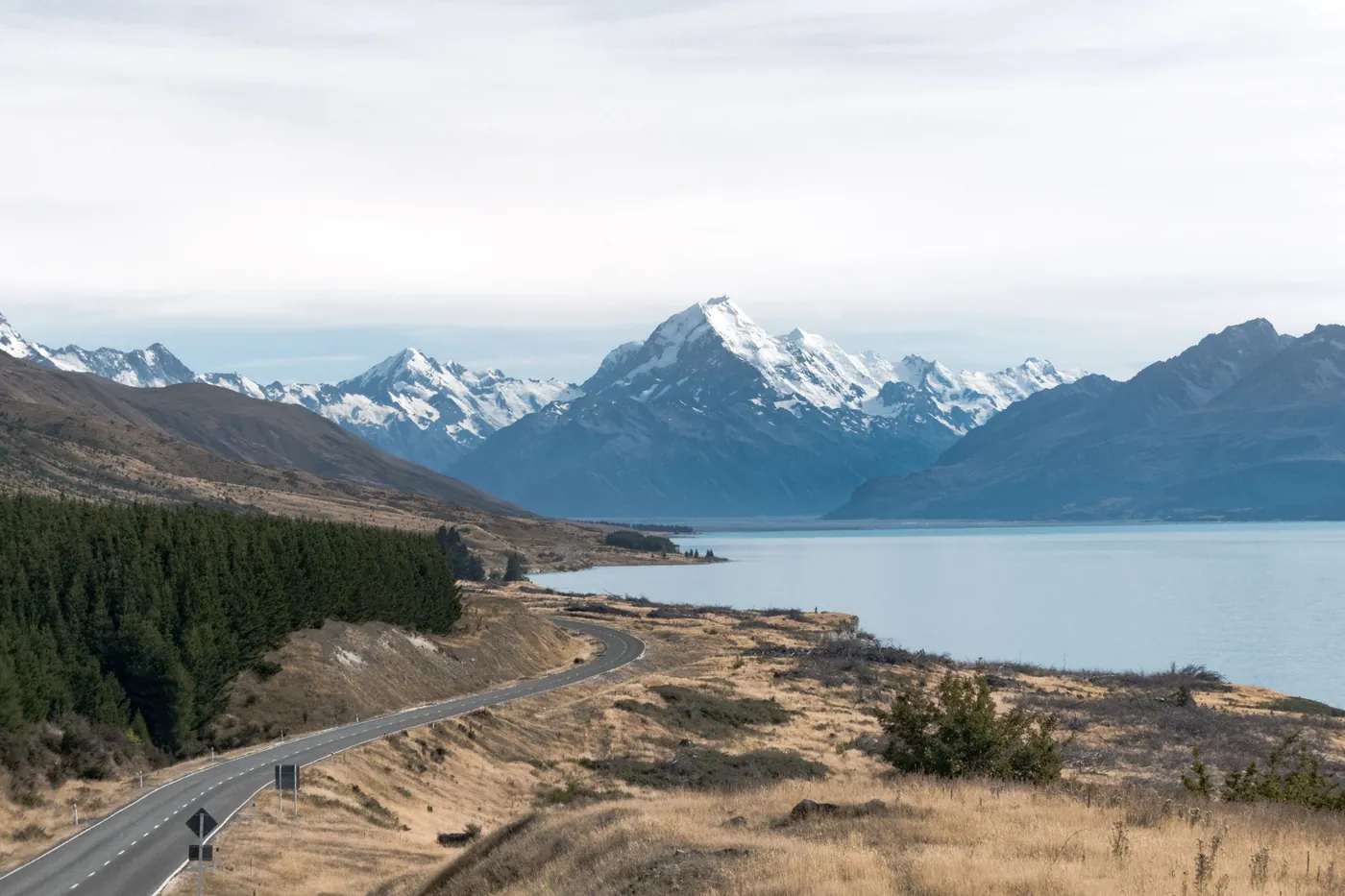 Highway curving along the shore of Lake Pukaki towards Aoraki/Mount Cook, dry grass, pine plantation, overcast light
